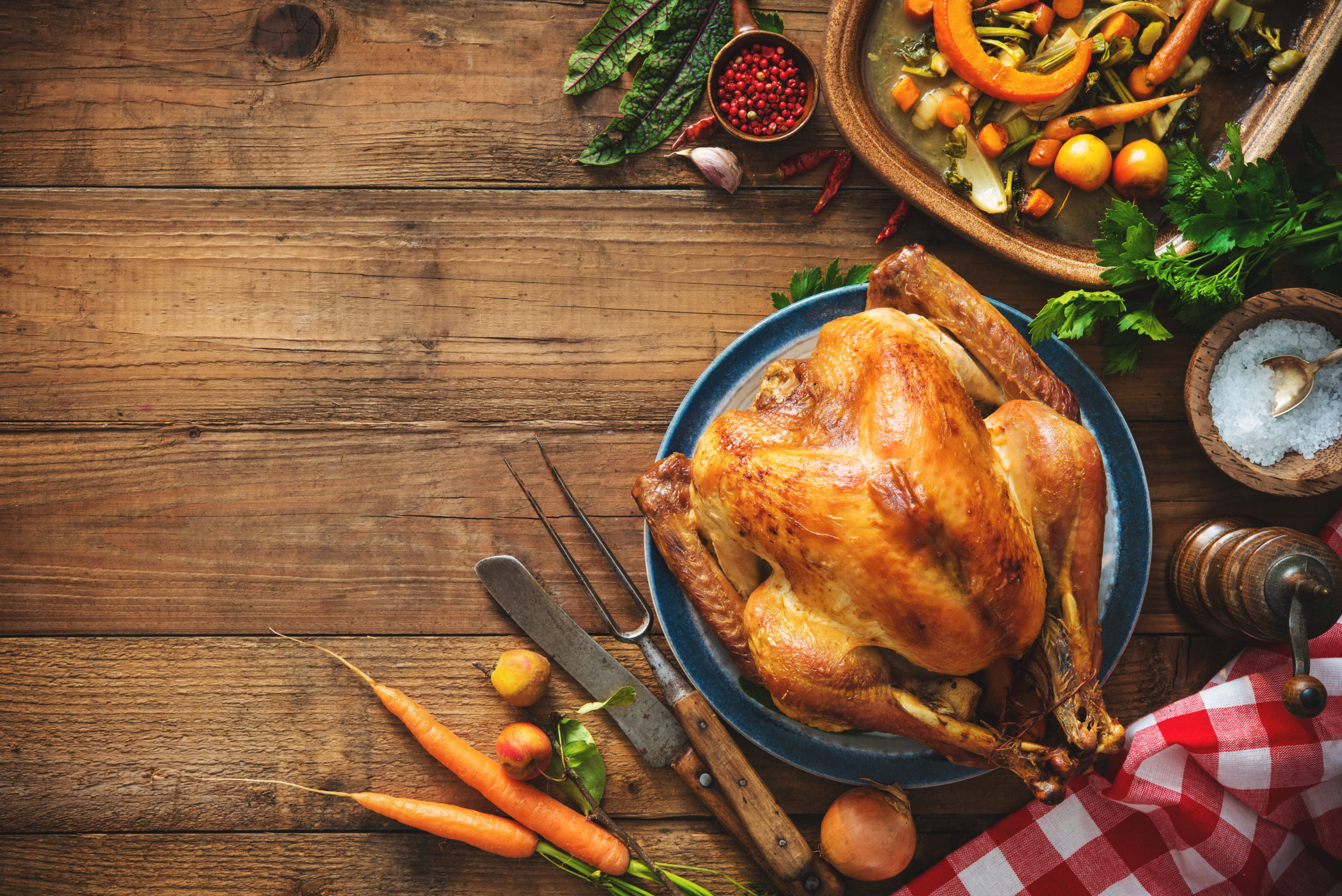 Read more about the article Turkey Recipes and Safety