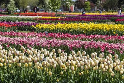 AdobeStock_86530777_new AdobeStock_86530777_new